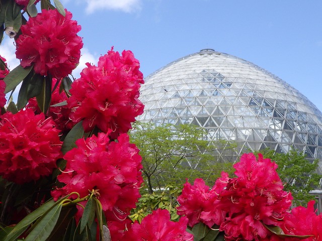 新潟県立植物園 ー 植物の魅力を再発見 営業時間 場所 地図等の情報 まっぷるトラベルガイド