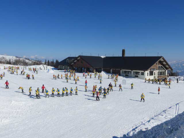 妙高高原で必ず行きたい ガイド編集部おすすめのスキー場スポット まっぷるトラベルガイド