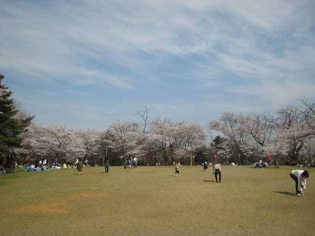 赤坂山公園の営業時間 場所 地図等の情報 まっぷるトラベルガイド