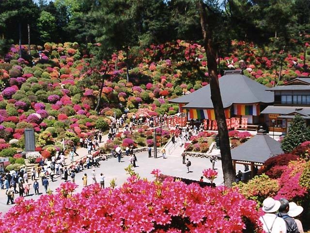 塩船観音寺 ー 5月の火渡り荒行 柴燈護摩や咲き誇るツツジなど見どころが多い 営業時間 場所 地図等の情報 まっぷるトラベルガイド