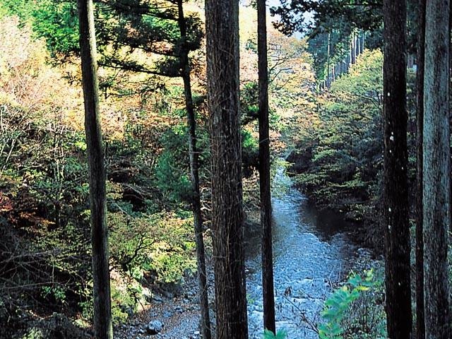 秋川渓谷の営業時間 場所 地図等の情報 まっぷるトラベルガイド