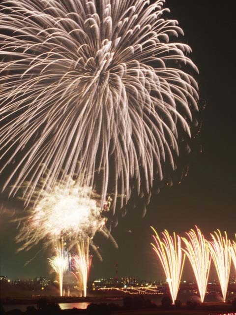高島平駅のおすすめのイベントスポットをご紹介します 極彩色の大輪の花が荒川の夜空を独占 戸田橋花火 大会 関東最長級 700mのナイアガラの滝が人気 いたばし花火大会 など情報満載