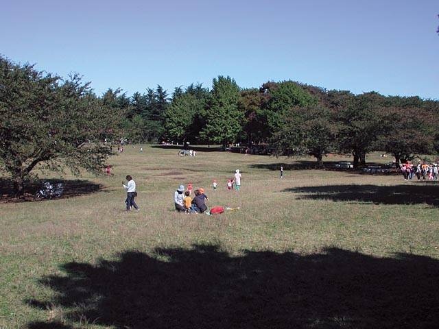 光が丘公園の営業時間 場所 地図等の情報 まっぷるトラベルガイド