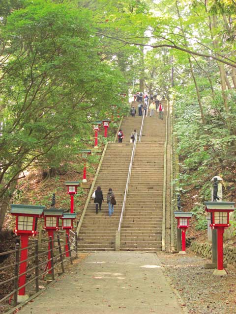 高尾山で必ず行きたい ガイド編集部おすすめの見どころ 体験スポット まっぷるトラベルガイド