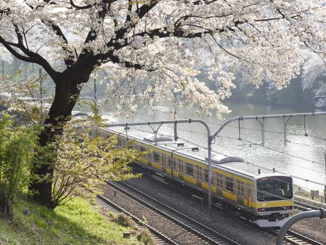 四ツ谷 神楽坂 水道橋で必ず行きたい ガイド編集部おすすめの桜の名所スポット まっぷるトラベルガイド