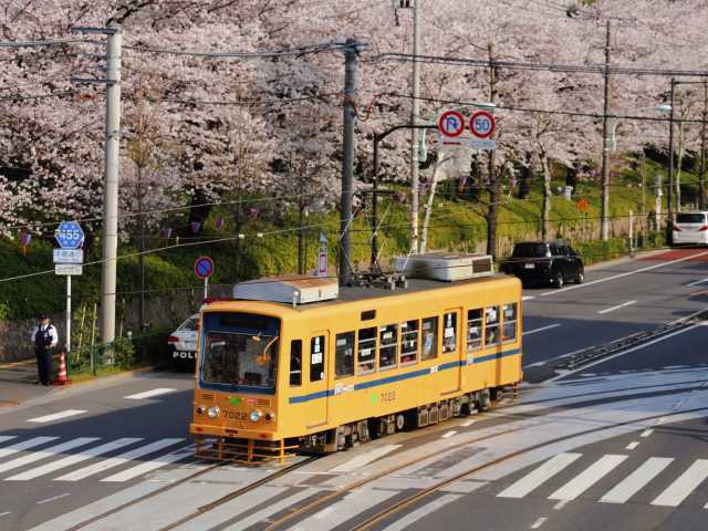 池袋で必ず行きたい ガイド編集部おすすめの桜の名所スポット まっぷるトラベルガイド
