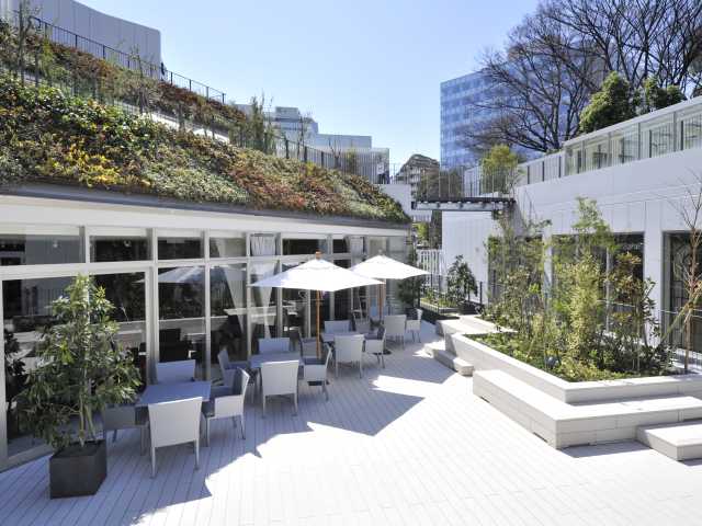 原宿 表参道で必ず行きたい ガイド編集部おすすめの大型商業施設スポット まっぷるトラベルガイド