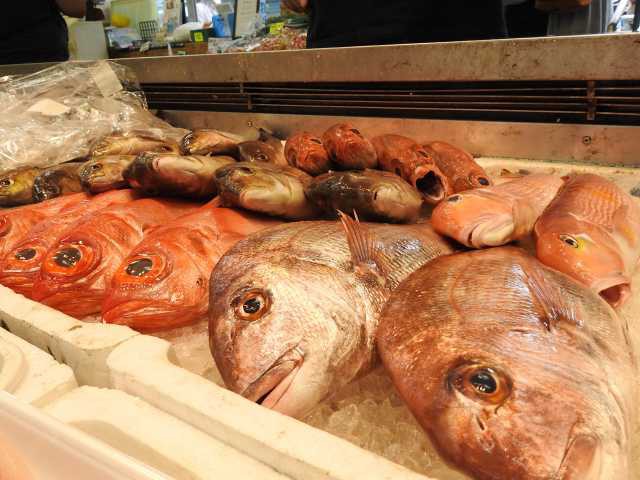 築地で必ず行きたい ガイド編集部おすすめの見どころ レジャースポット まっぷるトラベルガイド