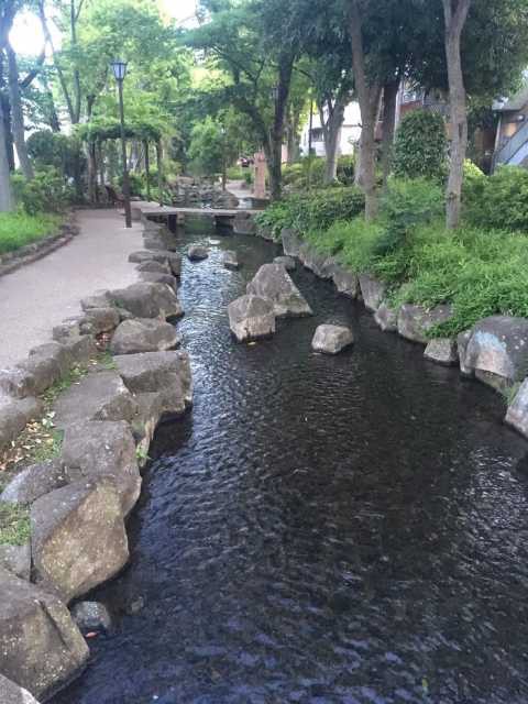 新小岩駅で必ず行きたい ガイド編集部おすすめの見どころ レジャースポット まっぷるトラベルガイド