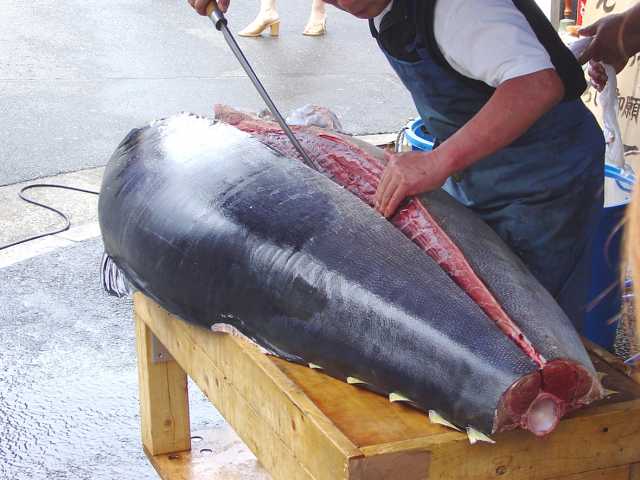 築地で必ず食べたい ガイド編集部おすすめの寿司 回転寿司スポット まっぷるトラベルガイド