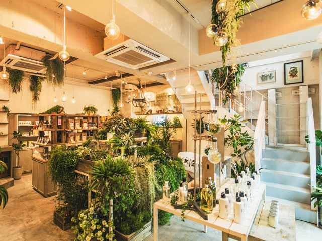 原宿 表参道で必ず寄りたい ガイド編集部おすすめのその他ショップスポット まっぷるトラベルガイド