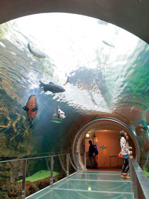 栃木県なかがわ水遊園の営業時間 場所 地図等の情報 まっぷるトラベルガイド