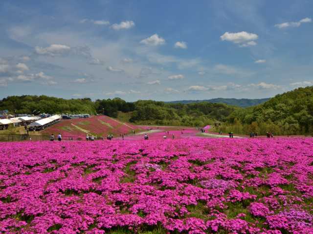 市貝町観光ならここ 市貝町でおすすめの観光 旅行スポット 21版 まっぷるトラベルガイド