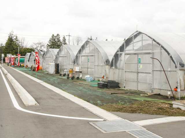 井頭観光いちご園の営業時間 場所 地図等の情報 まっぷるトラベルガイド