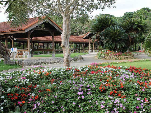 宮古島で必ず行きたい ガイド編集部おすすめの植物園スポット まっぷるトラベルガイド