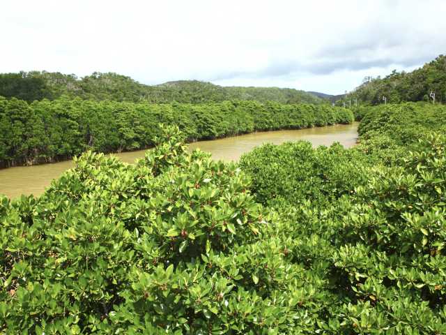 やんばるで必ず行きたい ガイド編集部おすすめの見どころ 体験スポット まっぷるトラベルガイド