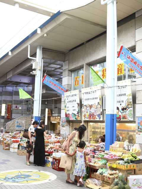 石垣市公設市場 ー 南国フルーツから石垣牛まで 豊富な品ぞろえ 営業時間 場所 地図等の情報 まっぷるトラベルガイド