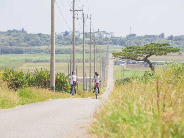 小浜島で必ず行きたい ガイド編集部おすすめの見どころ 体験スポット まっぷるトラベルガイド