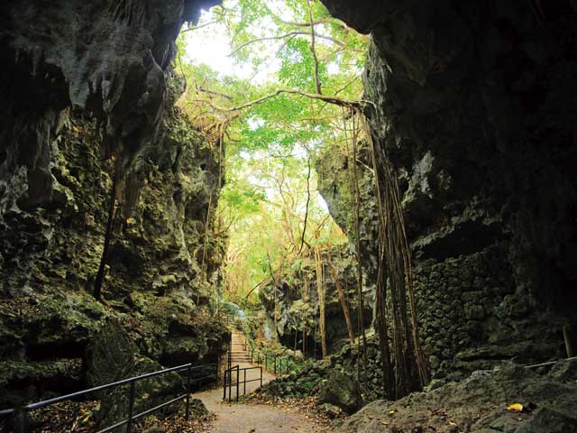ここがおすすめ ガイド編集部厳選の日本の洞窟スポット まっぷるトラベルガイド