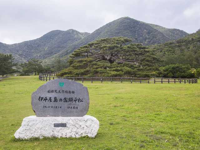 伊是名島 伊平屋島観光ならここ 伊是名島 伊平屋島でおすすめの観光 旅行スポット 21版 まっぷるトラベルガイド