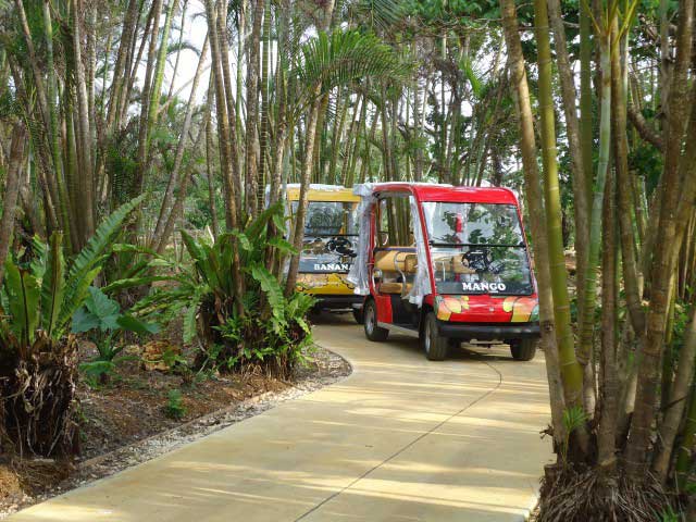 宮古列島で必ず行きたい ガイド編集部おすすめの植物園スポット まっぷるトラベルガイド