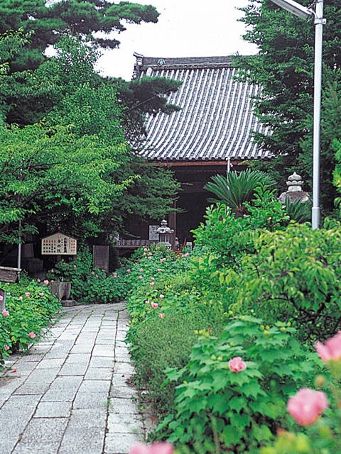 湖北 長浜で必ず行きたい ガイド編集部おすすめのその他花の名所スポット まっぷるトラベルガイド