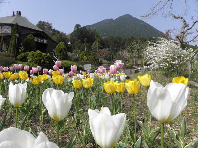 滋賀県立近江富士花緑公園の営業時間 場所 地図等の情報 まっぷるトラベルガイド