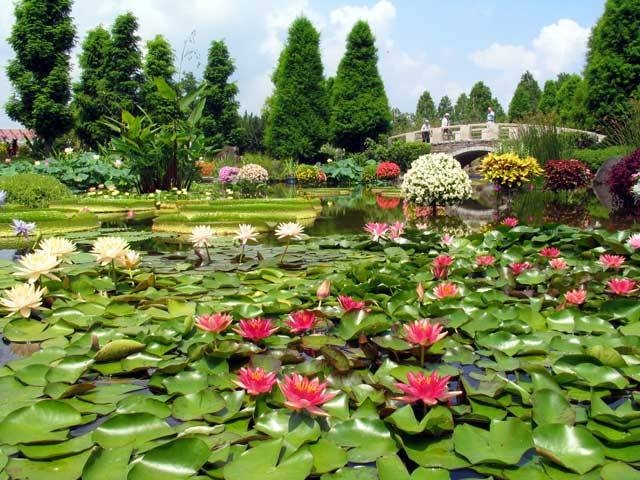 関西で必ず行きたい ガイド編集部おすすめの植物園スポット まっぷるトラベルガイド