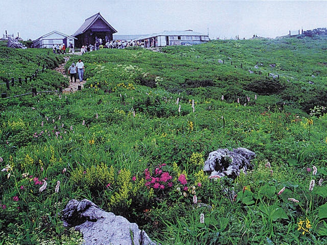 湖北 長浜で必ず行きたい ガイド編集部おすすめのその他花の名所スポット まっぷるトラベルガイド