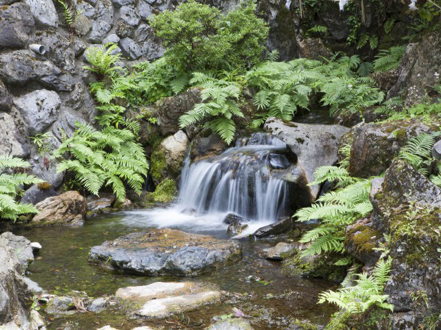 琵琶湖で必ず行きたい ガイド編集部おすすめの名水スポット まっぷるトラベルガイド