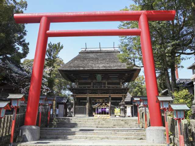 阿蘇 熊本 大分で必ず行きたい ガイド編集部おすすめの神社 稲荷 権現 スポット まっぷるトラベルガイド