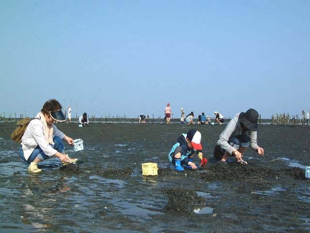 初サーフィン 結果 潮干狩り 静岡県の旅行記 ブログ By K Kaoruさん フォートラベル
