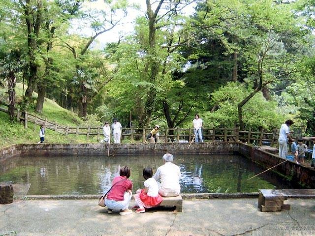 日向渓谷マス釣り場の営業時間 場所 地図等の情報 まっぷるトラベルガイド