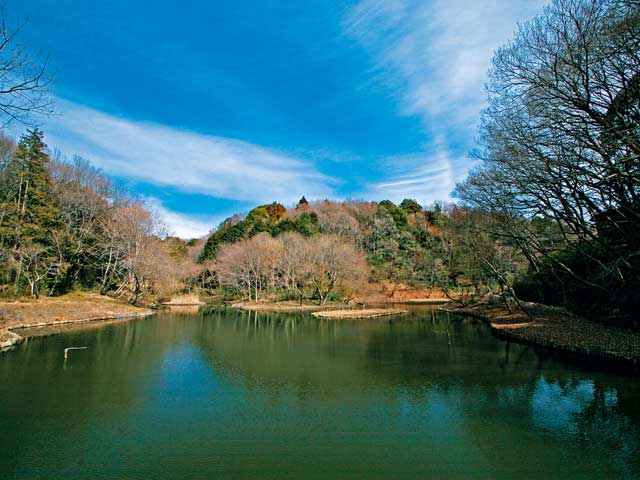 座間市観光ならここ!座間市でおすすめの人気観光・旅行スポット - 2026版 | まっぷるウェブ