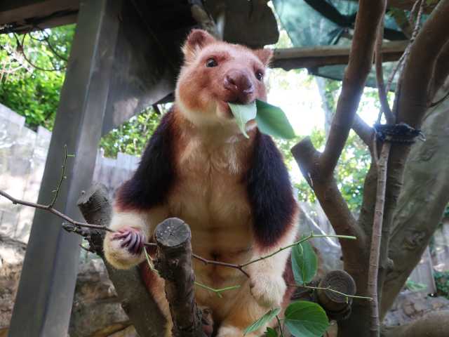 横浜で必ず行きたい ガイド編集部おすすめの動物園スポット まっぷるトラベルガイド