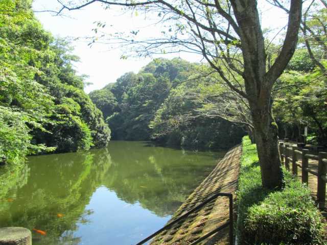 散在ガ池森林公園の営業時間 場所 地図等の情報 まっぷるトラベルガイド