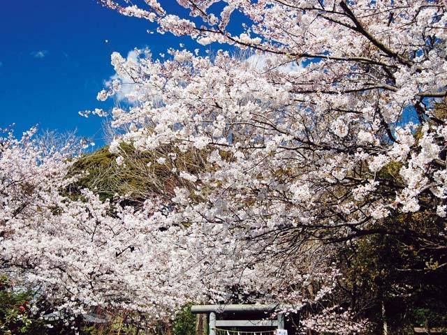 源氏山公園の営業時間 場所 地図等の情報 まっぷるトラベルガイド