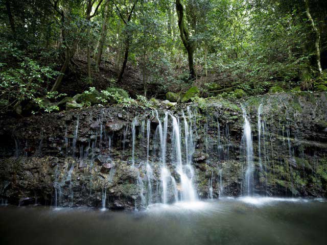 箱根で必ず行きたい ガイド編集部おすすめの滝スポット まっぷるトラベルガイド