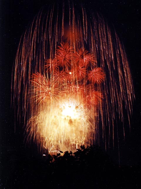 鎌倉 三浦 湘南のおすすめの花火大会スポット