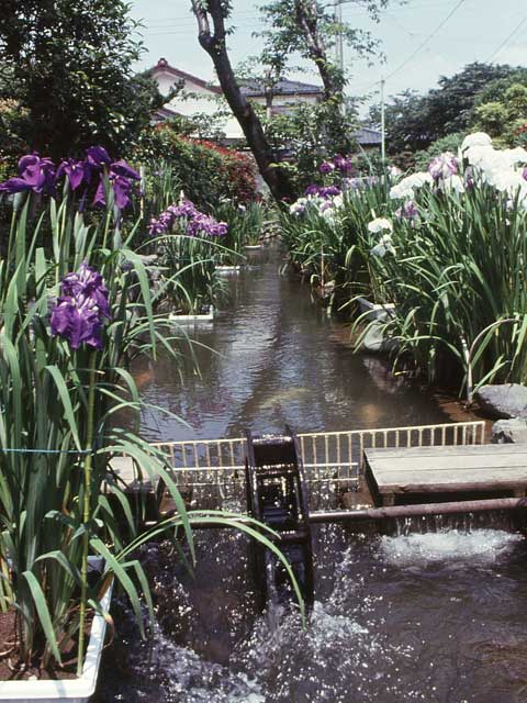 新堀用水路 烏山用水 の営業時間 場所 地図等の情報 まっぷるトラベルガイド