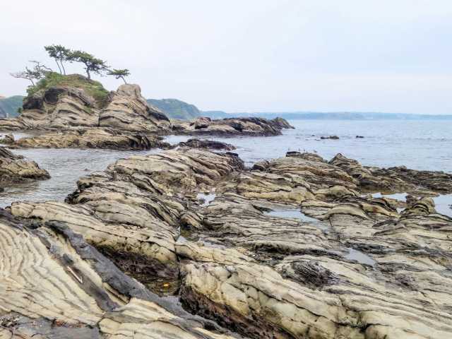荒崎海岸の営業時間 場所 地図等の情報 まっぷるトラベルガイド