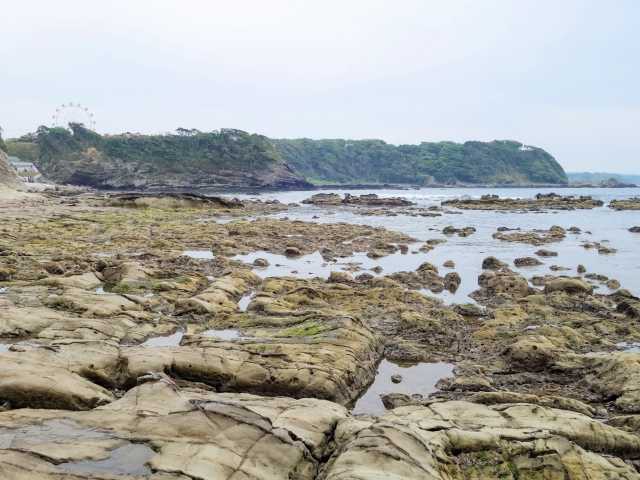 荒崎海岸の営業時間 場所 地図等の情報 まっぷるトラベルガイド