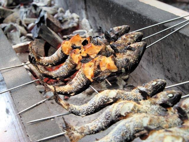 東海 北陸で必ず行きたい ガイド編集部おすすめの釣りスポット まっぷるトラベルガイド