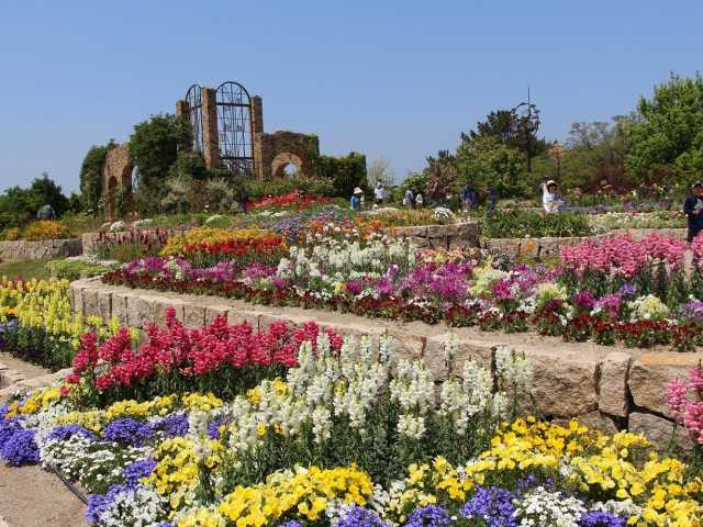 福岡で必ず行きたい ガイド編集部おすすめの公園 庭園スポット まっぷるトラベルガイド