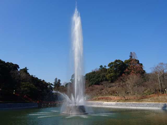 柳川・久留米・秋月で必ず行きたい!ガイド編集部おすすめの公園・庭園 