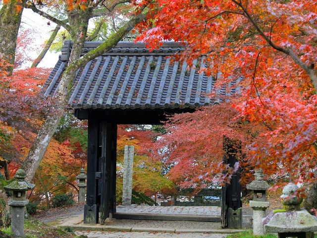 秋月観光ならここ!秋月でおすすめの人気観光・旅行スポット - 2025版 | まっぷるウェブ