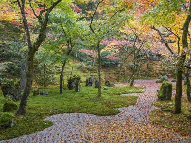 光明禅寺の営業時間 場所 地図等の情報 まっぷるトラベルガイド