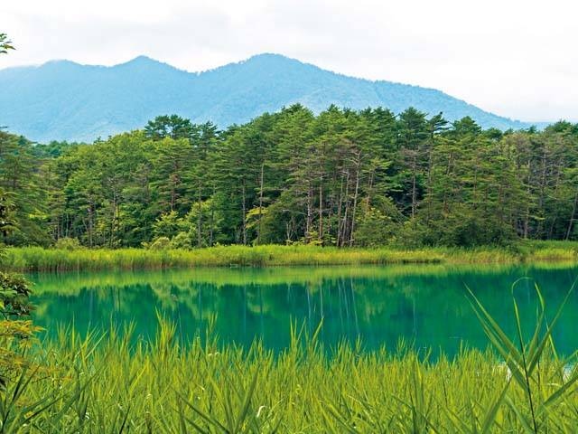 磐梯高原観光ならここ 磐梯高原でおすすめの観光 旅行スポット 21版 まっぷるトラベルガイド