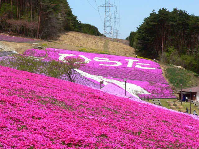 須賀川で必ず行きたい ガイド編集部おすすめのその他花の名所スポット まっぷるトラベルガイド