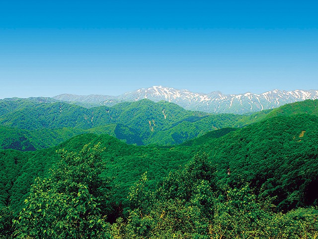 白神山地 秋田 で必ず行きたい ガイド編集部おすすめのトレッキングコース ハイキングコーススポット まっぷるトラベルガイド